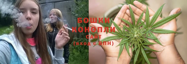 шишки Богданович