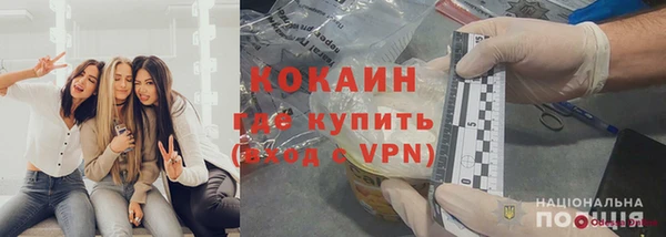 крисы Богородицк
