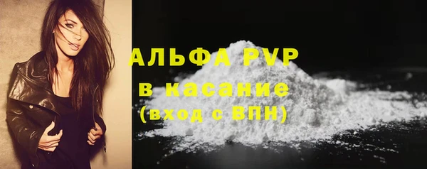 шишки Богданович