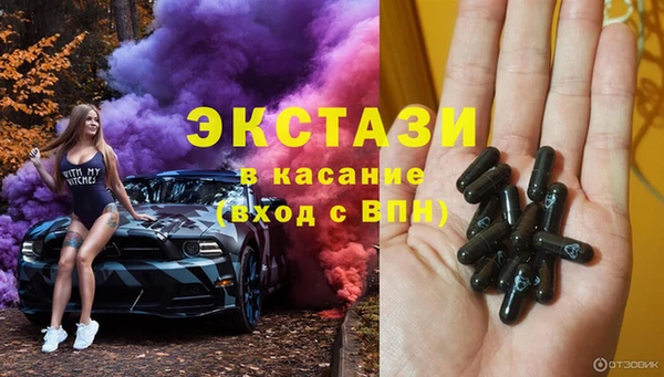 крисы Богородицк