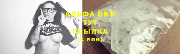 крисы Богородицк