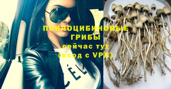 шишки Богданович