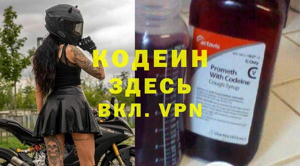 крисы Богородицк